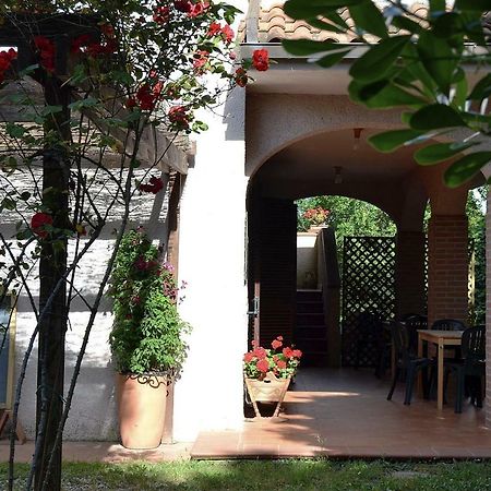 马利亚诺因托斯卡纳 Agriturismo Piana Arborello酒店 外观 照片