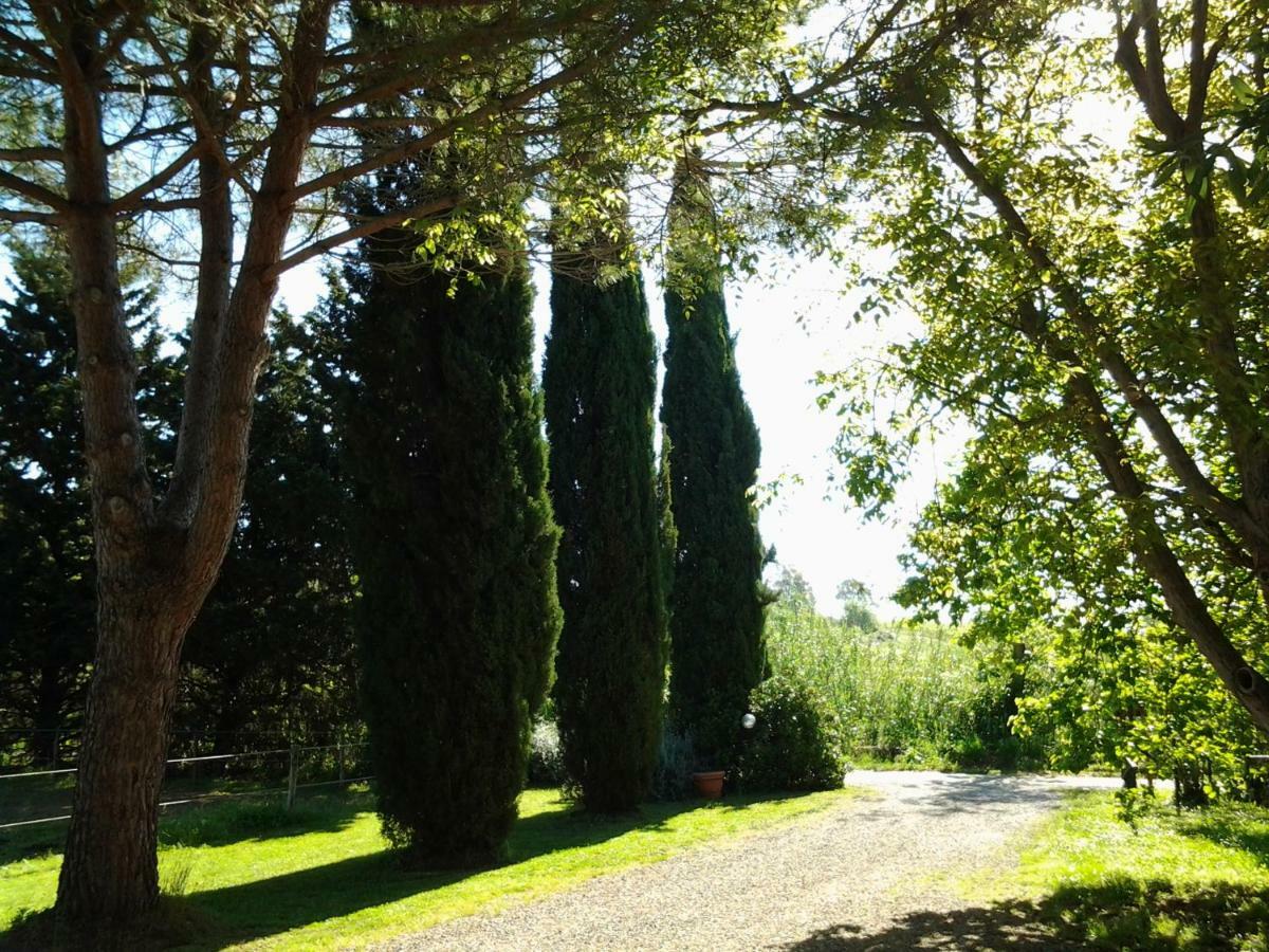 马利亚诺因托斯卡纳 Agriturismo Piana Arborello酒店 外观 照片