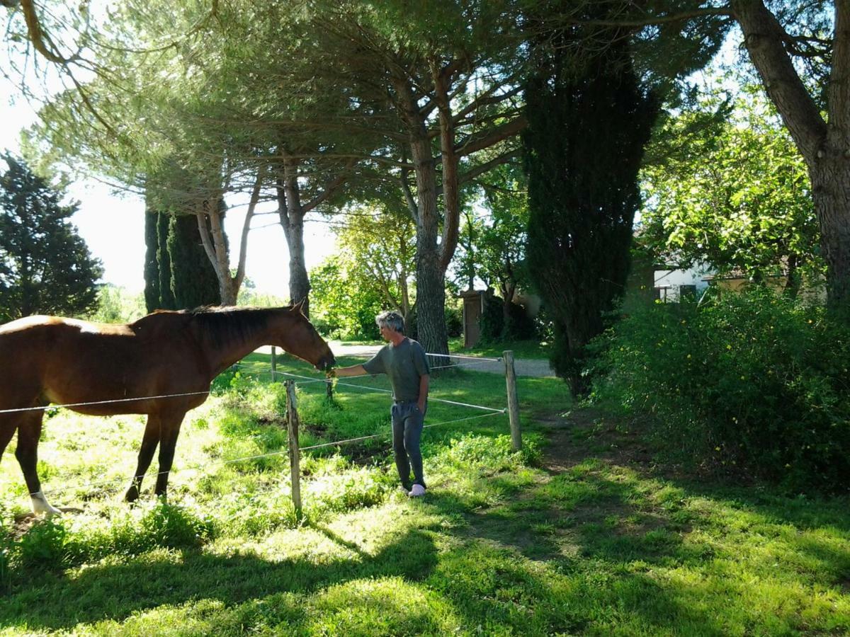 马利亚诺因托斯卡纳 Agriturismo Piana Arborello酒店 外观 照片