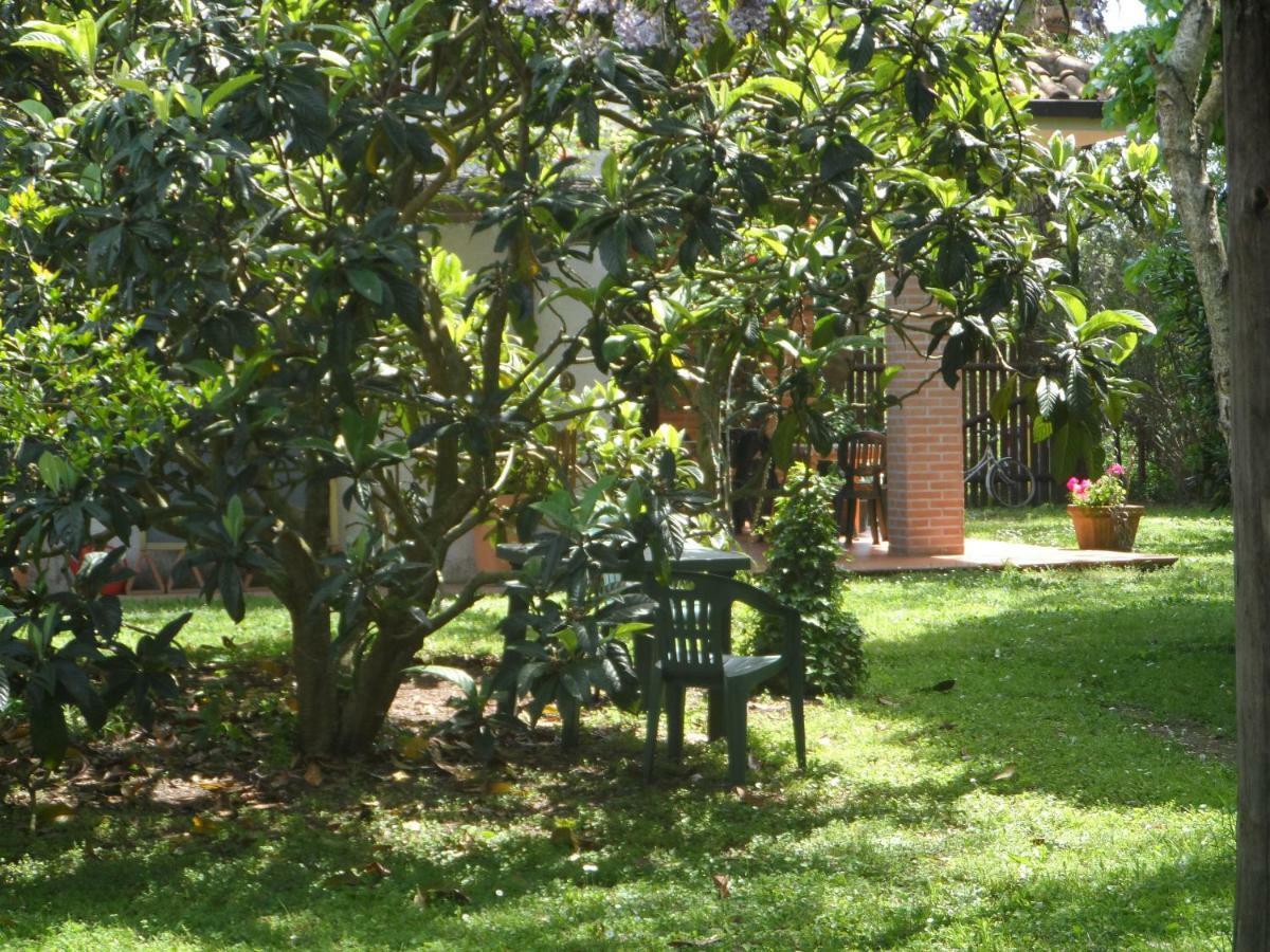 马利亚诺因托斯卡纳 Agriturismo Piana Arborello酒店 外观 照片
