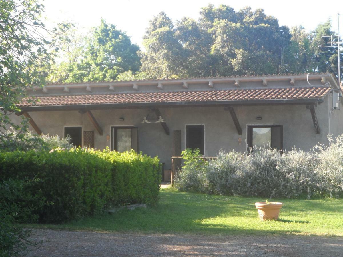 马利亚诺因托斯卡纳 Agriturismo Piana Arborello酒店 外观 照片