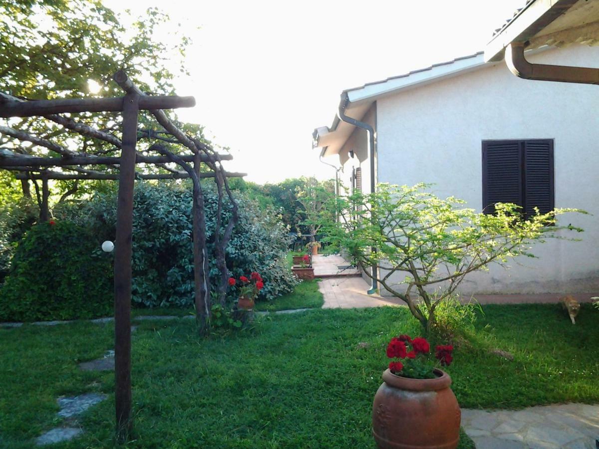 马利亚诺因托斯卡纳 Agriturismo Piana Arborello酒店 外观 照片