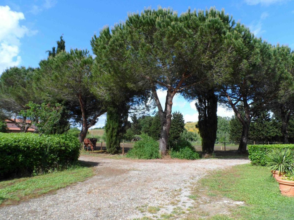 马利亚诺因托斯卡纳 Agriturismo Piana Arborello酒店 外观 照片