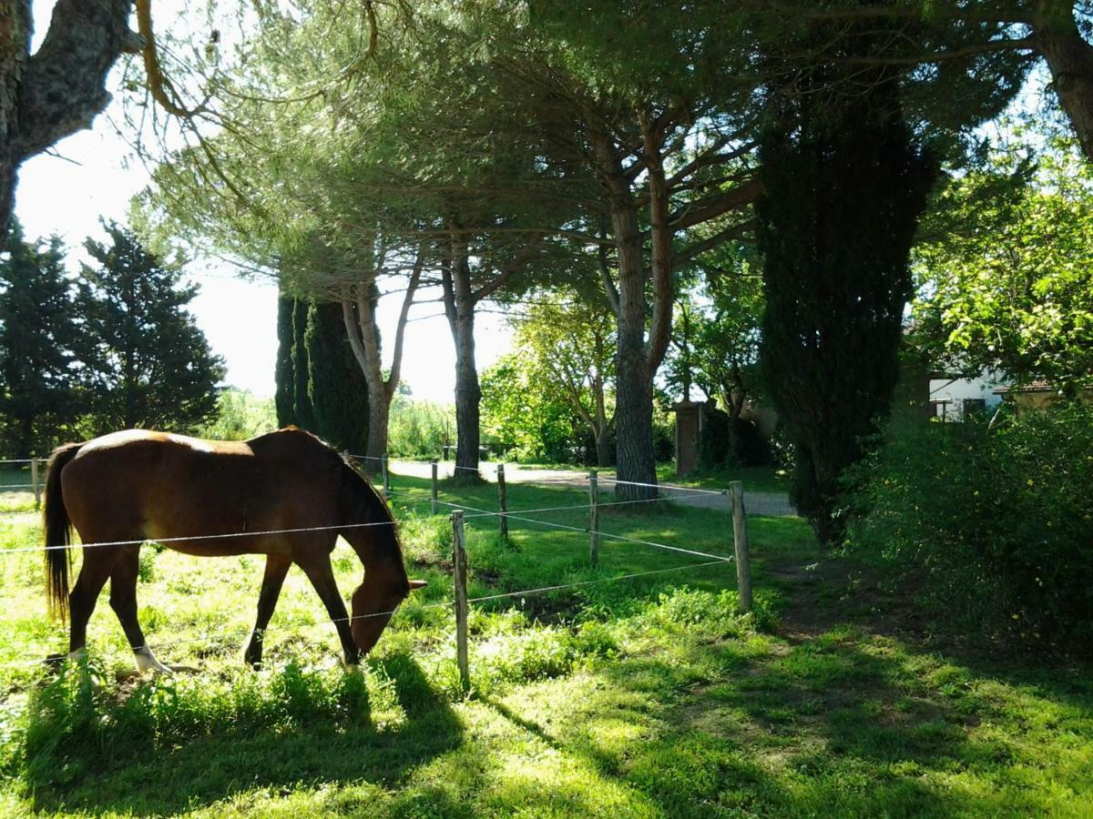 马利亚诺因托斯卡纳 Agriturismo Piana Arborello酒店 外观 照片