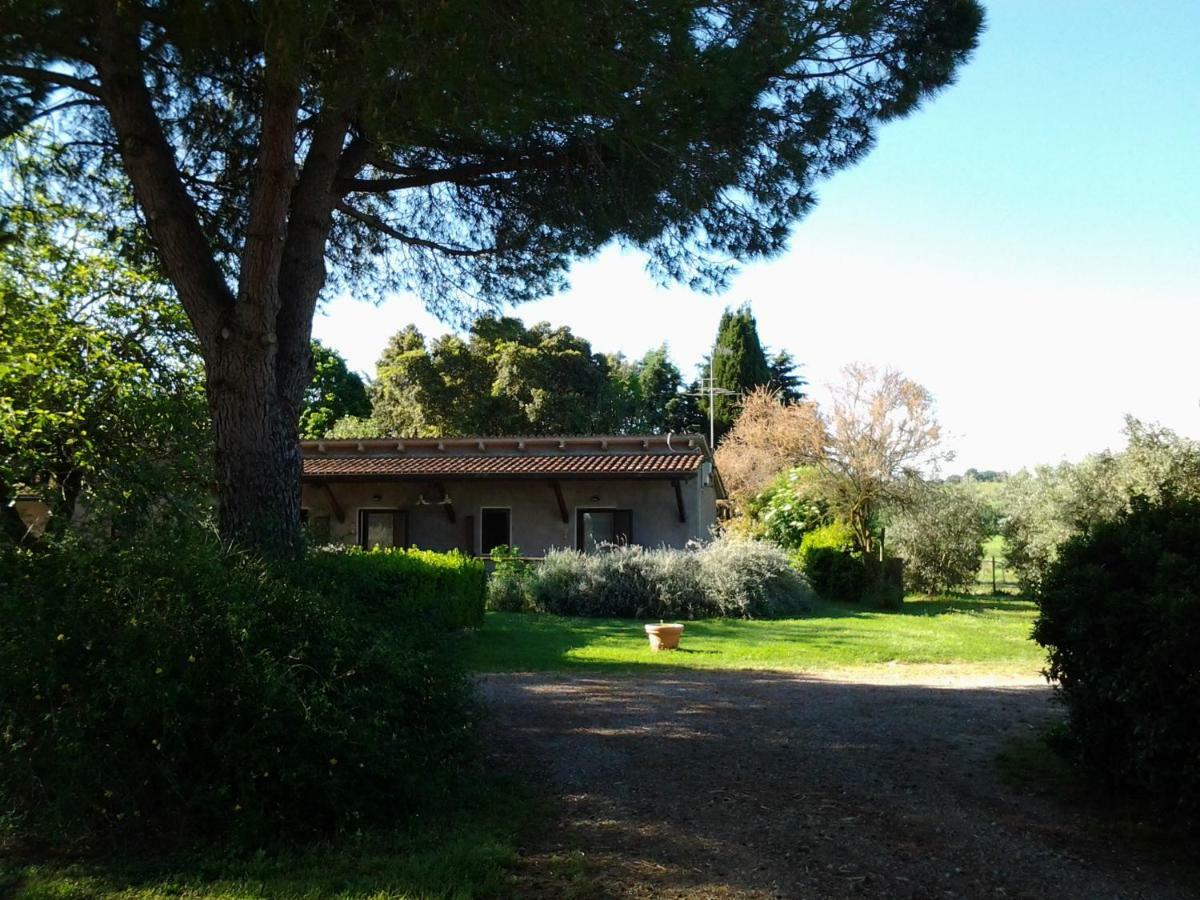 马利亚诺因托斯卡纳 Agriturismo Piana Arborello酒店 外观 照片