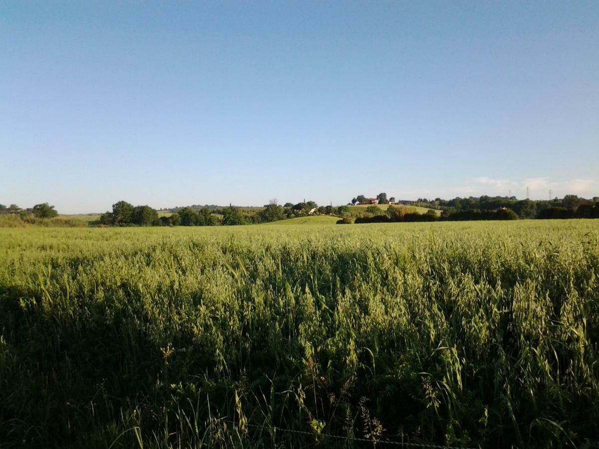 马利亚诺因托斯卡纳 Agriturismo Piana Arborello酒店 外观 照片