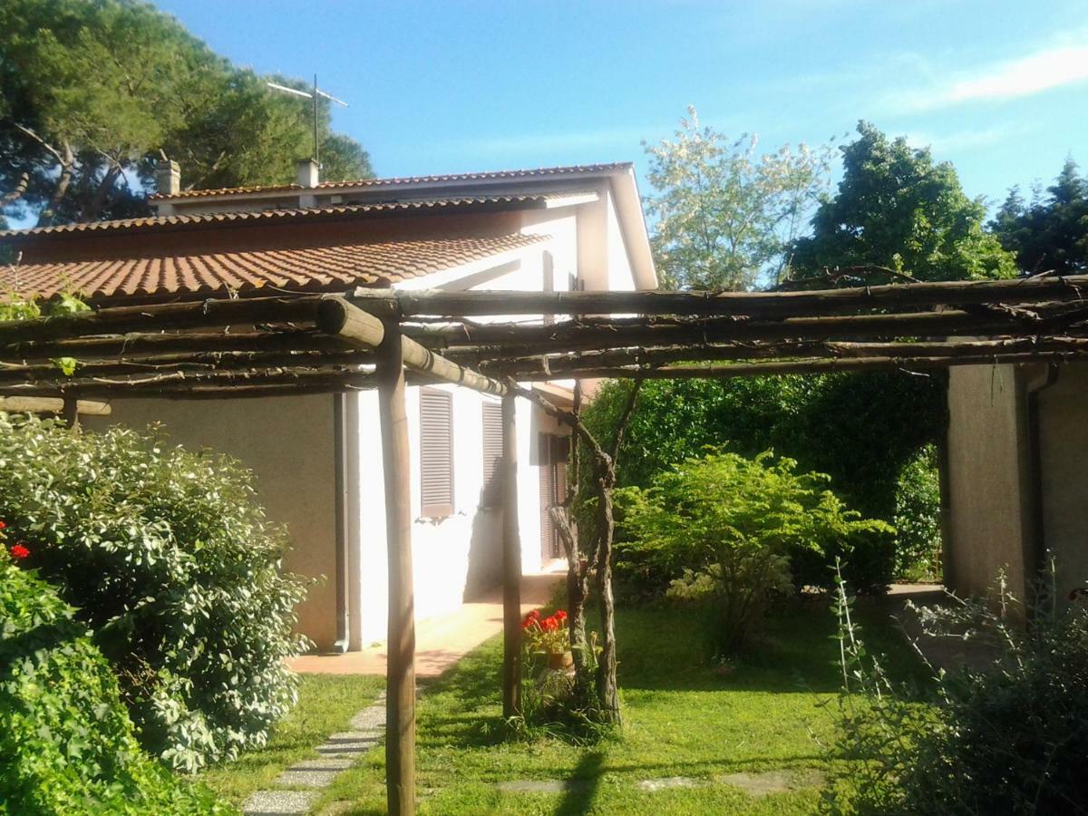 马利亚诺因托斯卡纳 Agriturismo Piana Arborello酒店 外观 照片