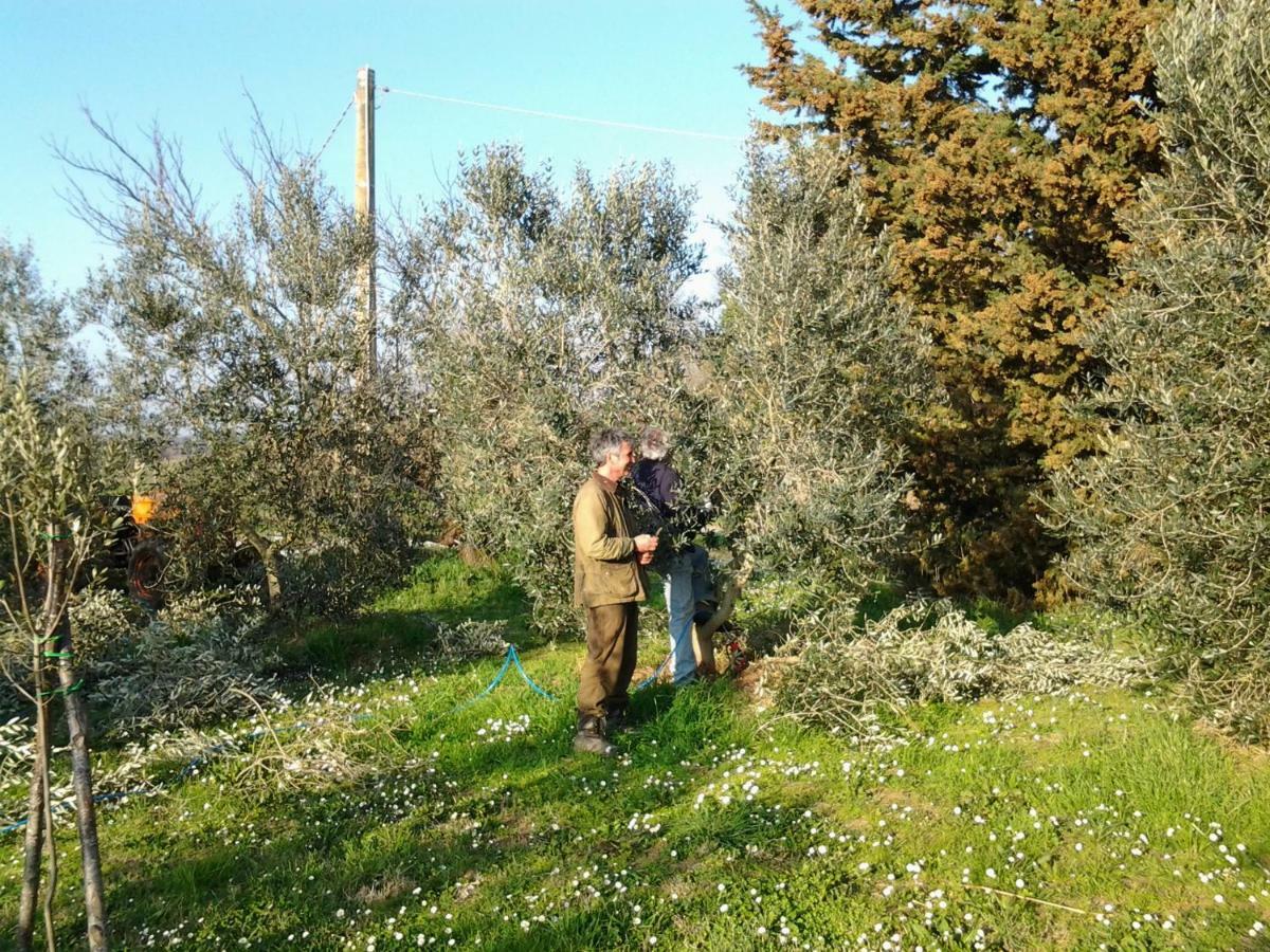 马利亚诺因托斯卡纳 Agriturismo Piana Arborello酒店 外观 照片